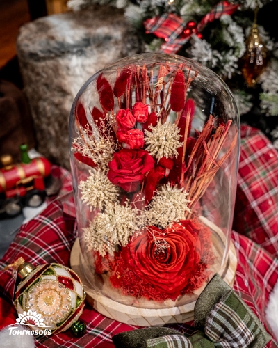 Roses rouges sous cloche en verre sur fond de Noël festif.